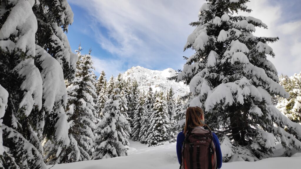 Randonneuse parmi des sapins enneigés dans les Alpes.