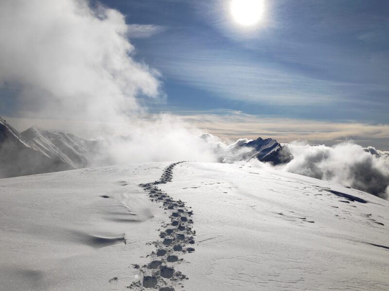 img 20200118 140459 1 img 20200118 140459 1