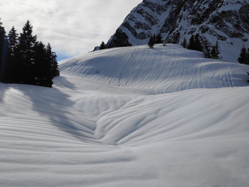 img 20240124 132345 img 20240124 132345