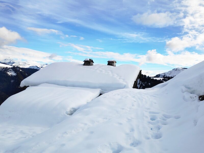 img 20240124 144444 img 20240124 144444