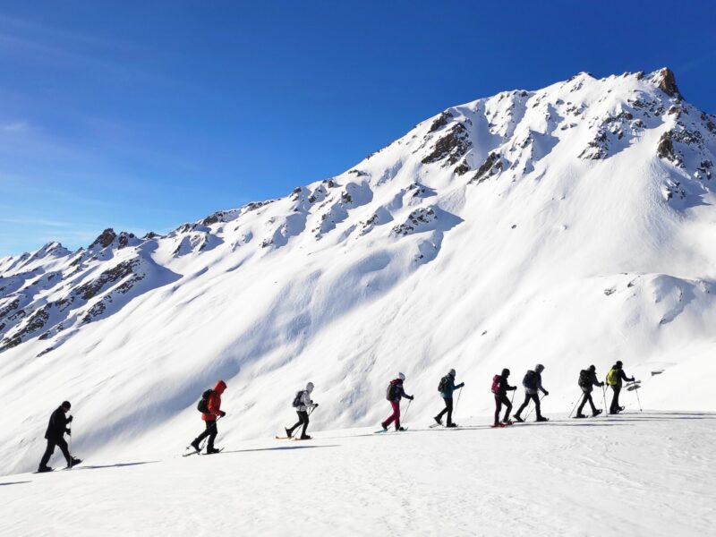 img 20240202 103007 img 20240202 103007