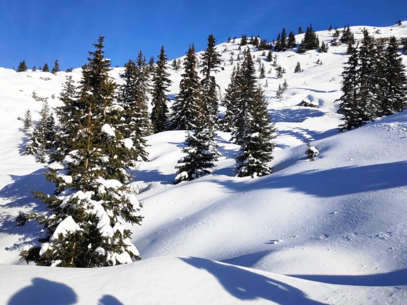 img 20240225 093347 img 20240225 093347