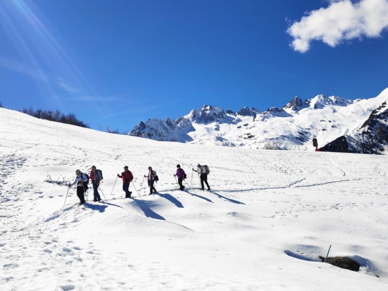 img 20240319 140046 img 20240319 140046