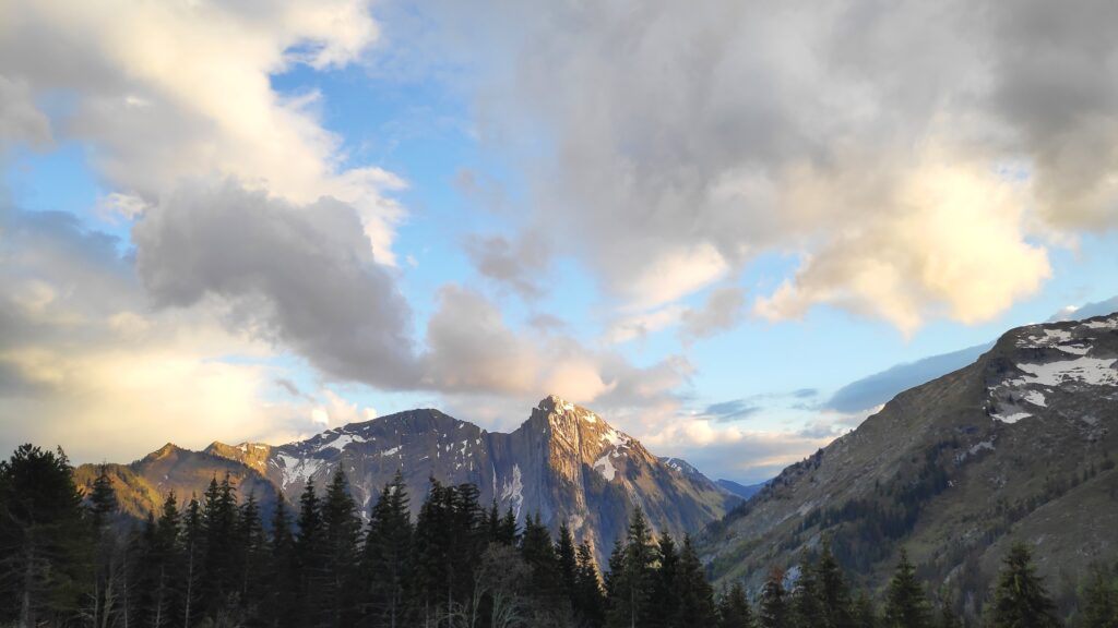 Tarifs terres d'alpes pour une randonnée au printemps dans les Bauges.