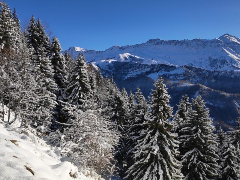 img 20241211 101414 img 20241211 101414