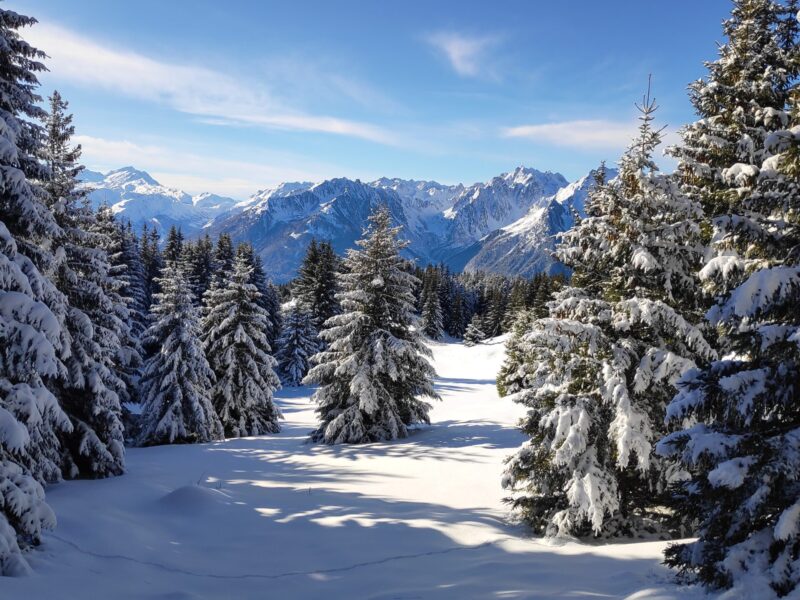 img 20241211 114411 img 20241211 114411