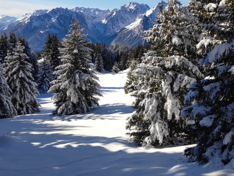 img 20241211 114418 img 20241211 114418