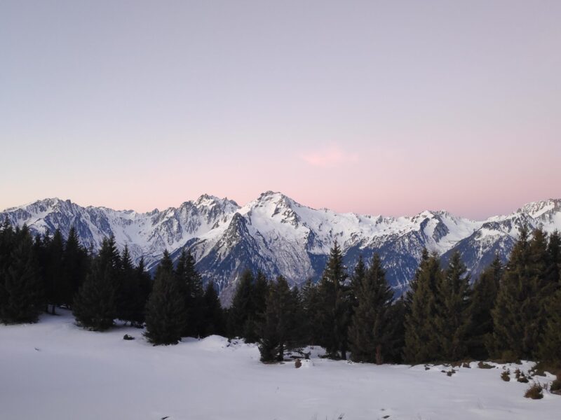 img 20250101 080308 img 20250101 080308