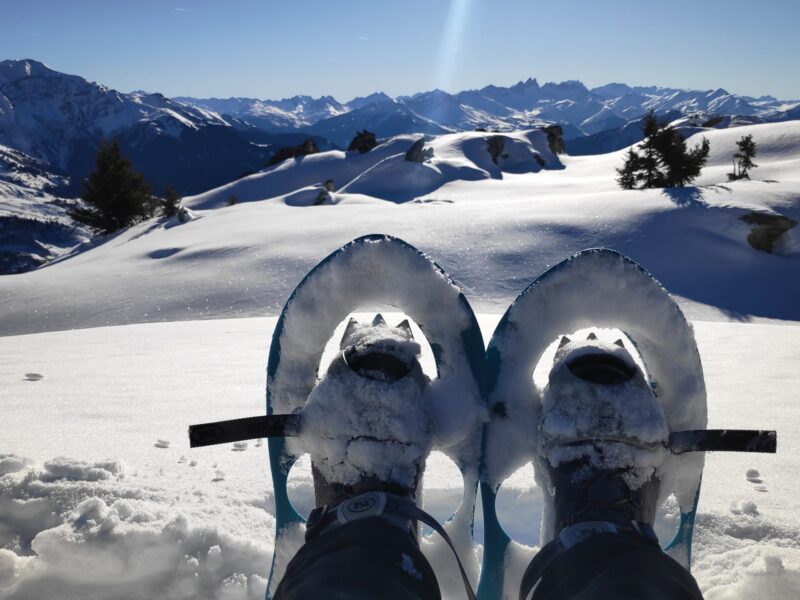 img 20250101 122540 1 img 20250101 122540 1