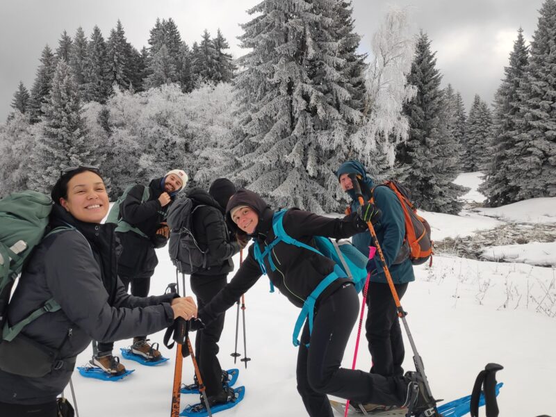 img 20250112 125900 img 20250112 125900