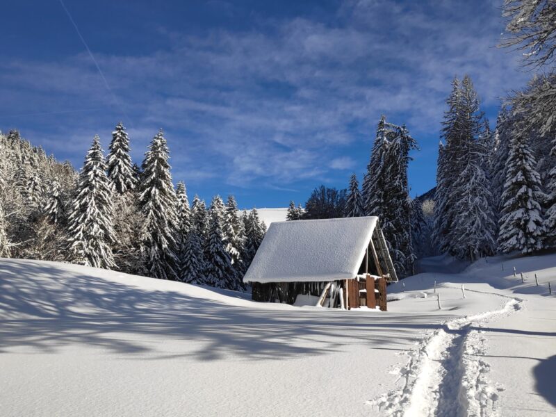 img 20250129 104554 (1) img 20250129 104554 (1)