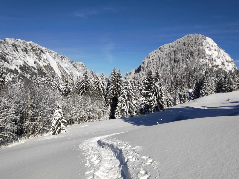 img 20250129 115534 1 (1) img 20250129 115534 1 (1)