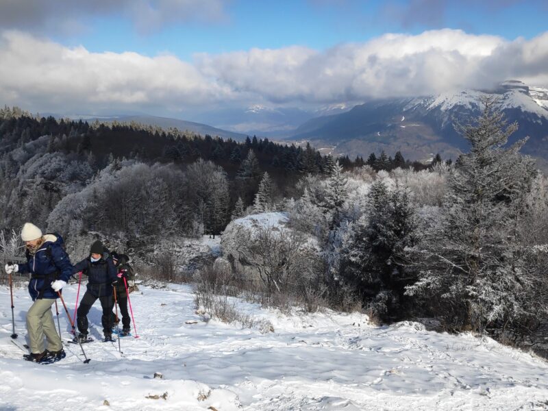 img 20250214 135317 img 20250214 135317