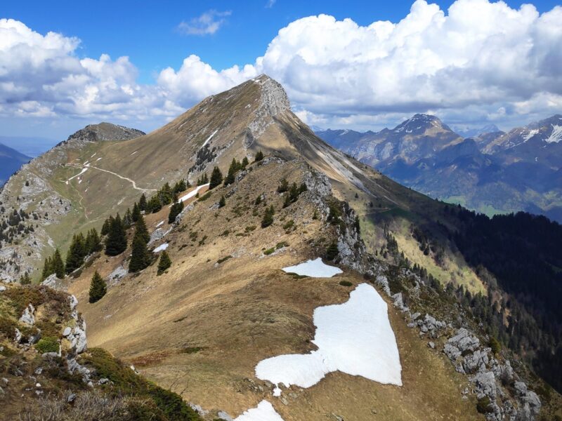 IMG_20220430_134211_1