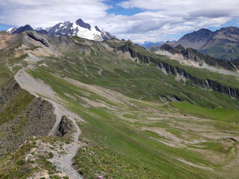 IMG_20230731_125331_1