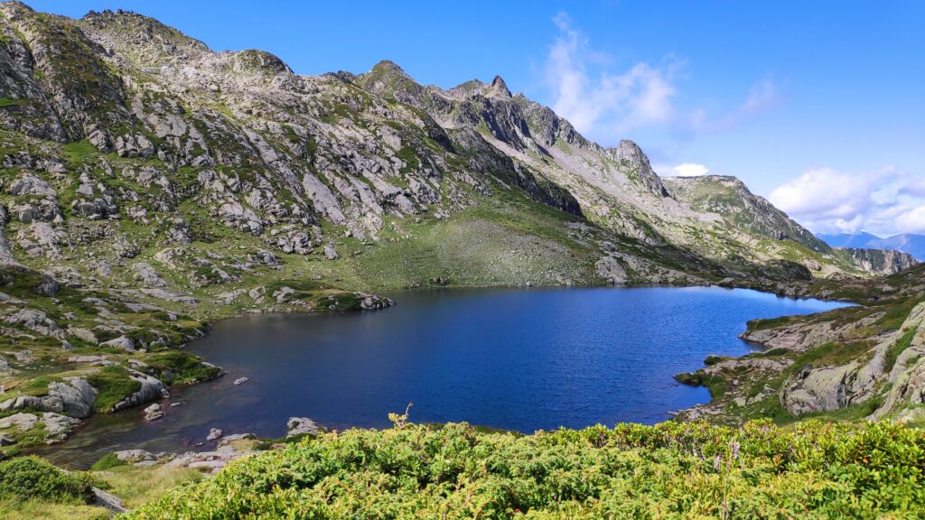 IMG_20230803_113610_1 (1)