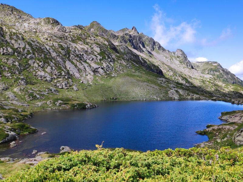 IMG_20230803_113610_1 (1)