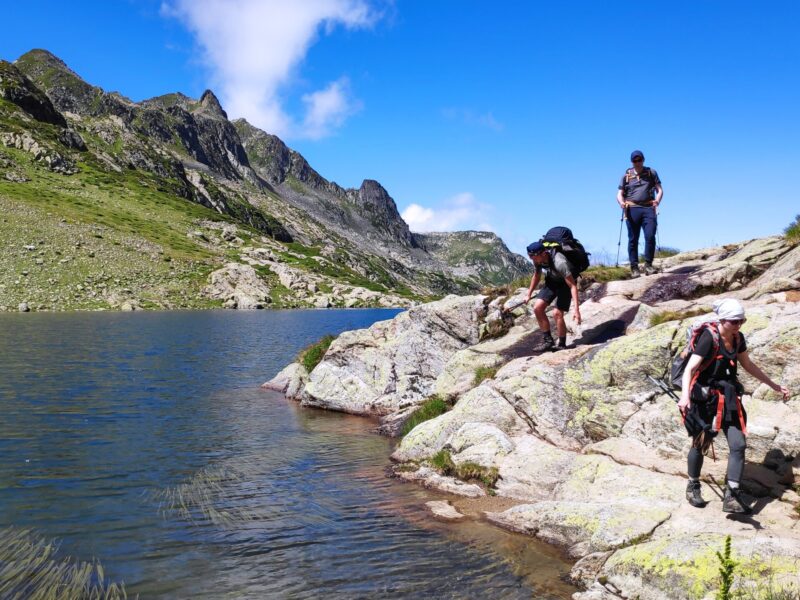 IMG_20230803_115400 (1)