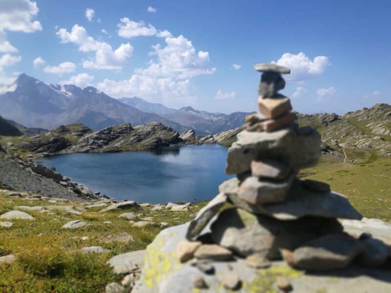 IMG_20230824_121806 (1)