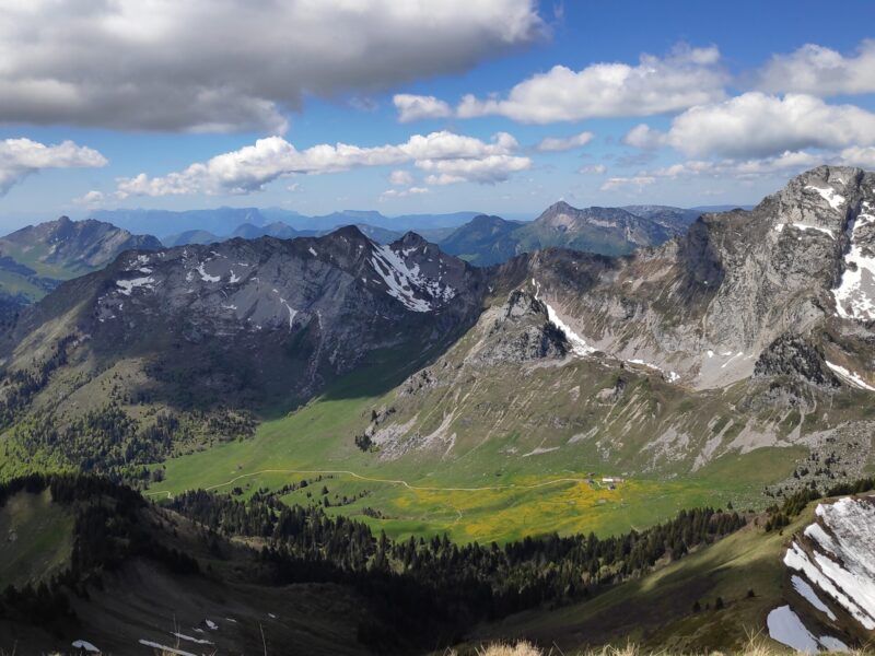 IMG_20250517_124008_1