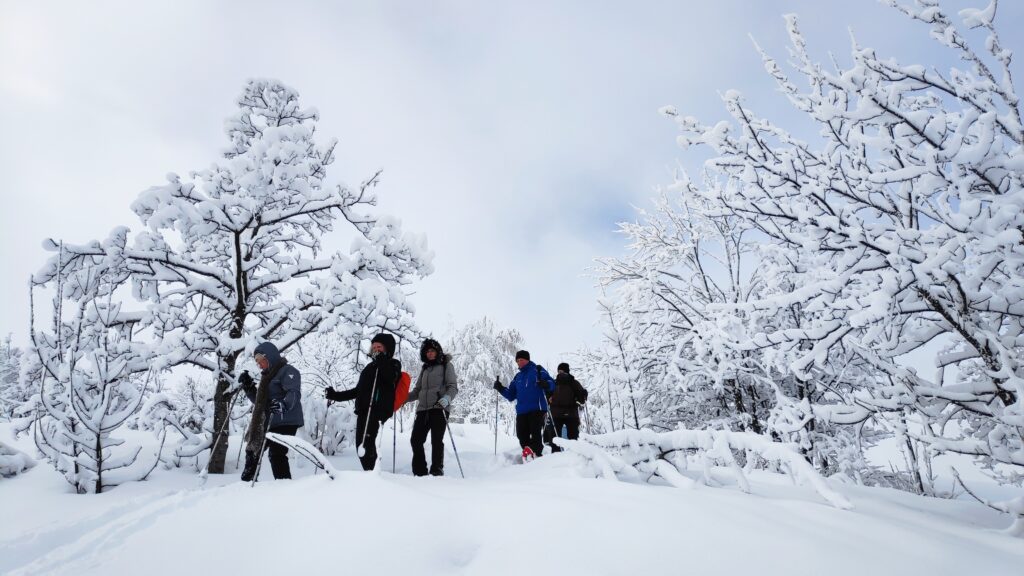 IMG_20240119_105136_1