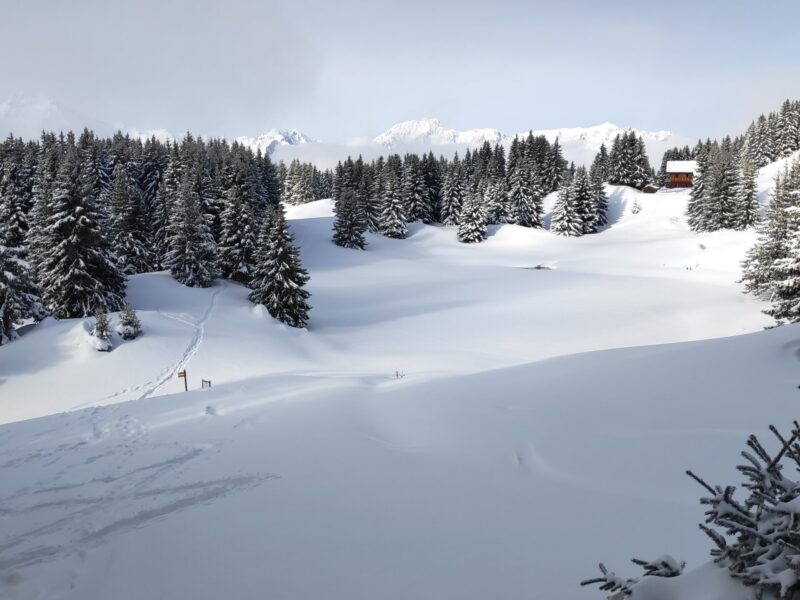 IMG_20260215_095414_1